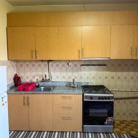 招待所 Monteiro 维米欧索