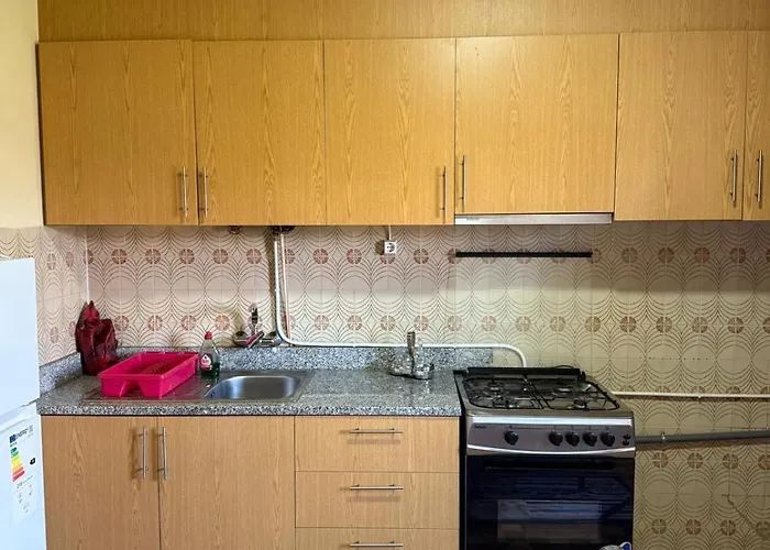 招待所 Monteiro 维米欧索